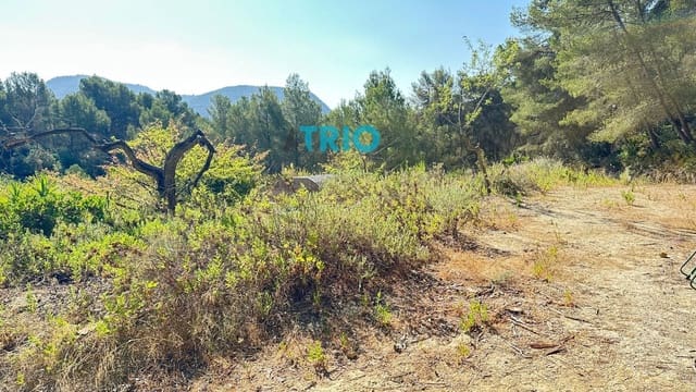 Tomt till salu i Algaida - 78 000 € (Ref: 9138426)