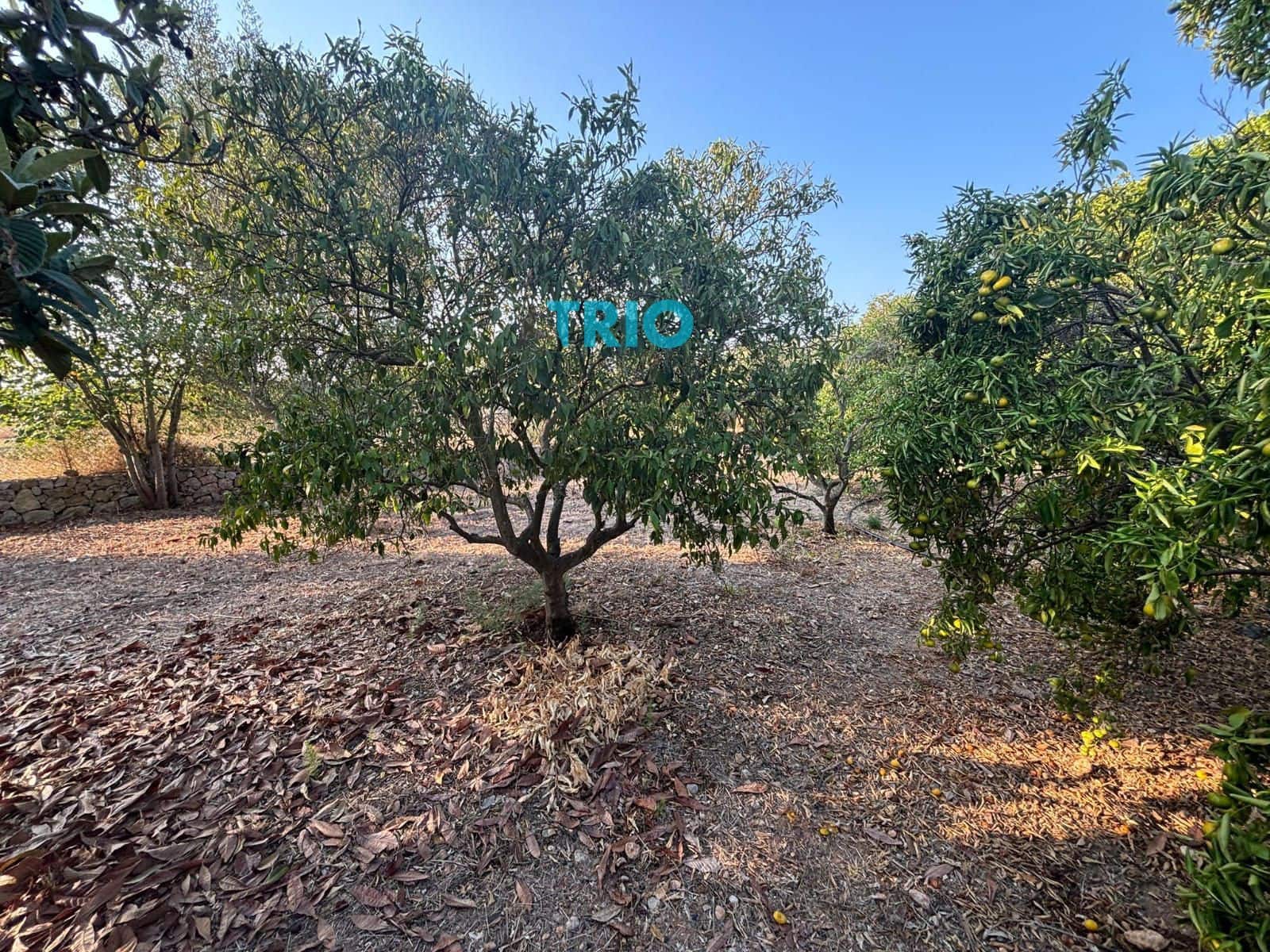 3 soverom Villa til salgs i Sencelles med svømmebasseng - € 1 600 000 (Ref: 9201610)