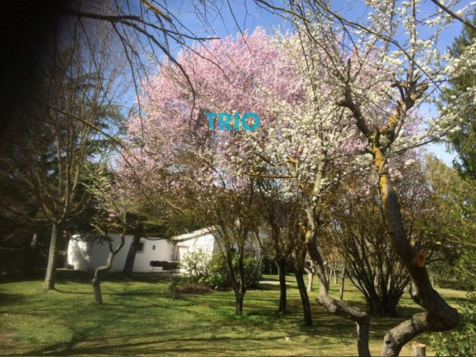 2 soveværelse Villa til salg i Villariezo med swimmingpool garage - € 320.000 (Ref: 9396783)