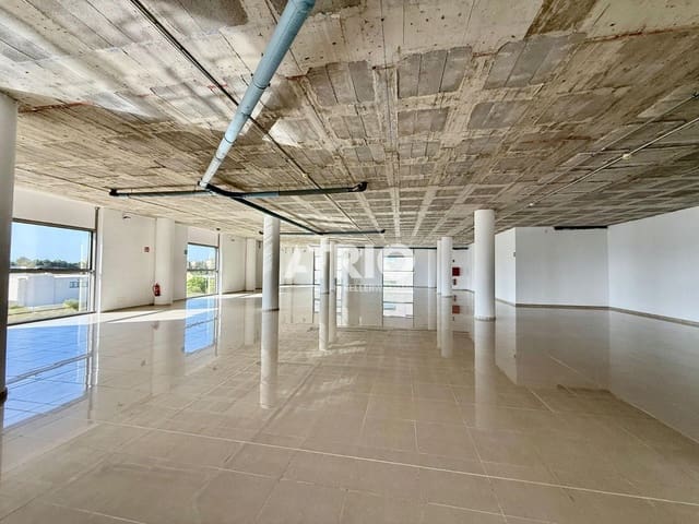 Erhverv til leje i Palma de Mallorca med garage - € 10.000 (Ref: 9807288)