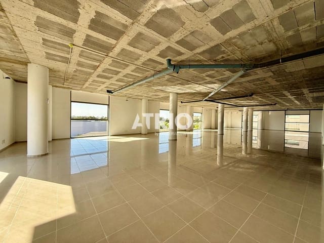 Erhverv til leje i Palma de Mallorca med garage - € 10.000 (Ref: 9807288)