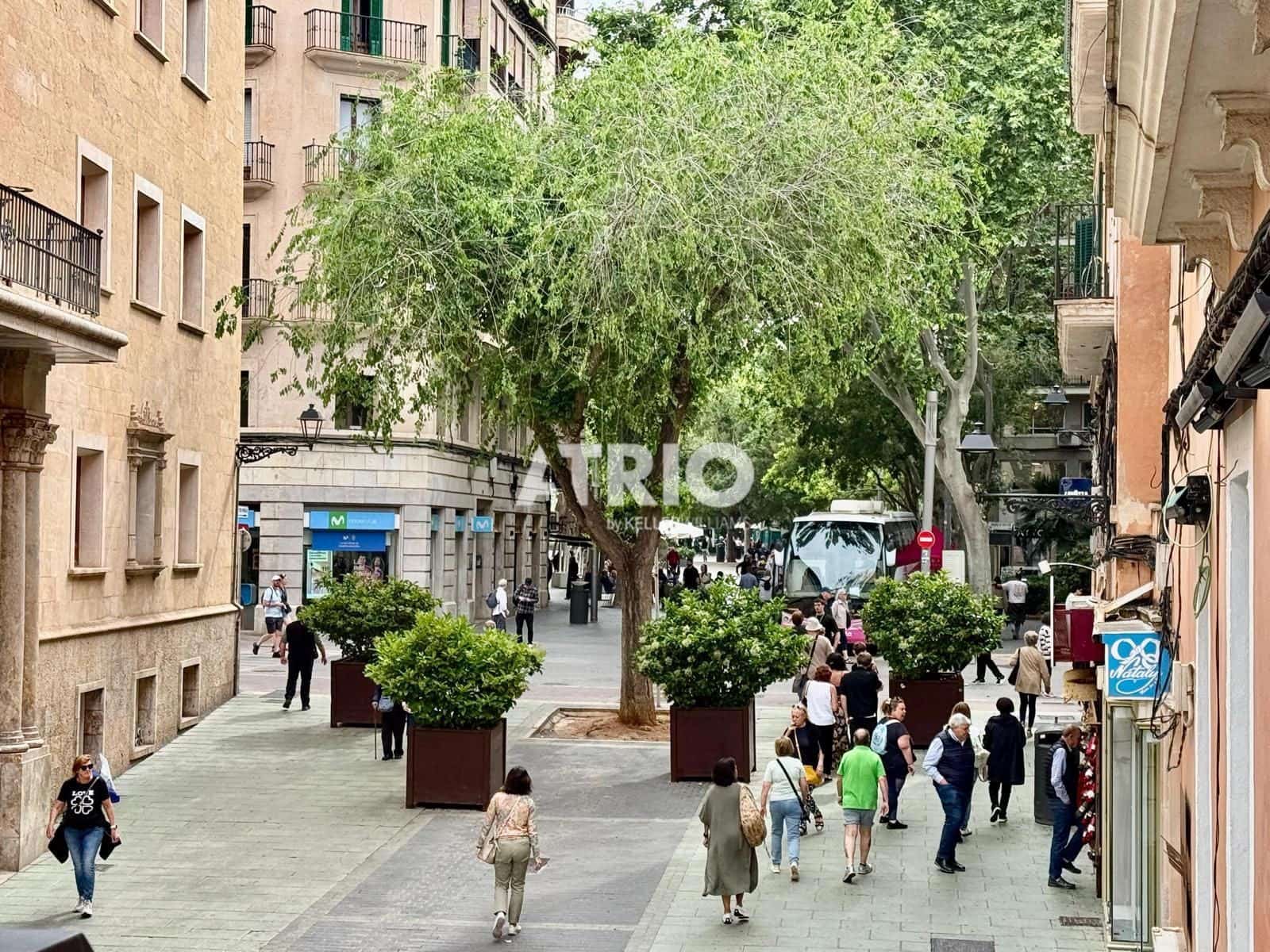 2 makuuhuone Asunto myytävänä paikassa Palma de Mallorca - 559 000 € (Ref: 9814772)