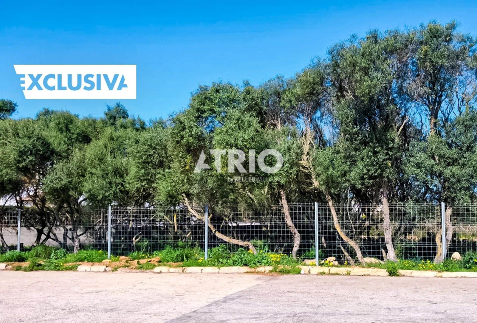 Area Edificabile in vendita in Badia Gran - 545.000 € (Rif: 9944549)