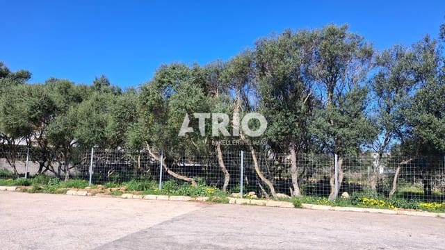 Byggegrund til salg i Badia Gran, Llucmajor - € 545.000 (Ref: 9944549)