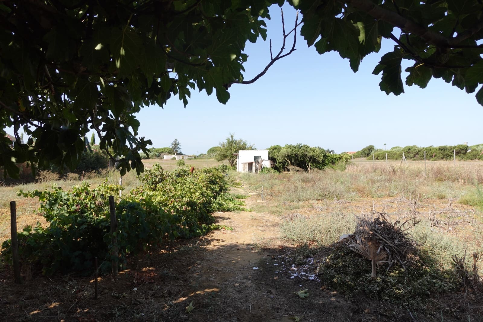 3 Zimmer Finca/Landgut zu verkaufen in Chiclana de la Frontera mit Garage - 213.500 € (Ref: 10045846)