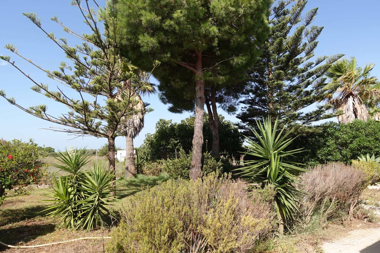 3 Zimmer Finca/Landgut zu verkaufen in Chiclana de la Frontera mit Garage - 213.500 € (Ref: 10045846)
