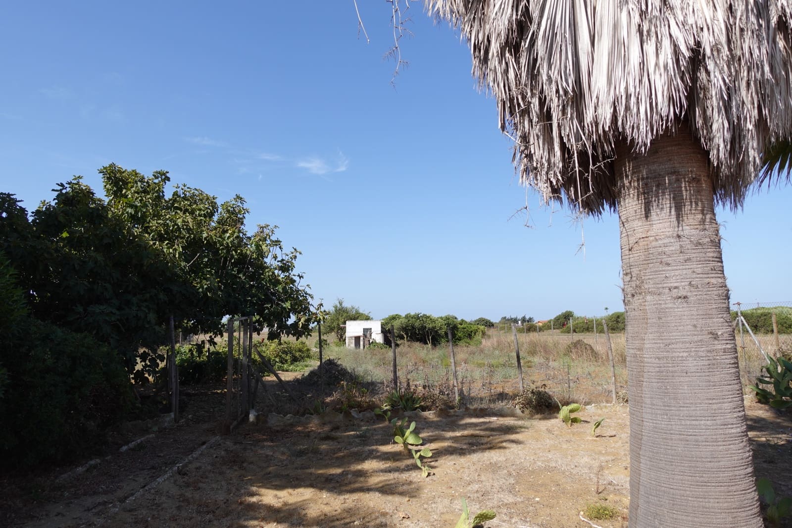 3 Zimmer Finca/Landgut zu verkaufen in Chiclana de la Frontera mit Garage - 213.500 € (Ref: 10045846)