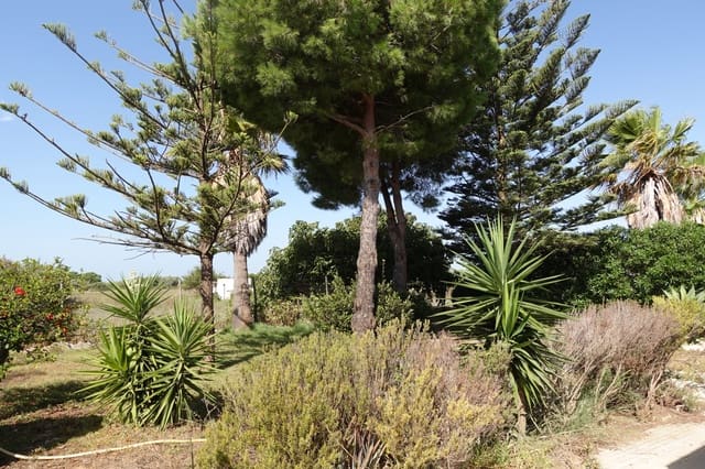3 makuuhuone Maalaistalo myytävänä paikassa Chiclana de la Frontera mukana 
autotalli - 213 500 € (Ref: 10045846)