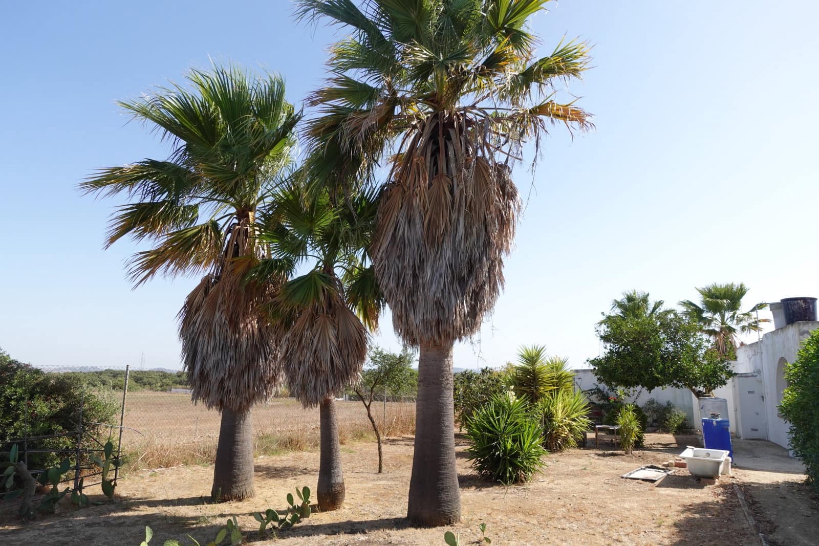 3 bedroom Finca/Country House for sale in Chiclana de la Frontera with garage - € 213,500 (Ref: 10045846)