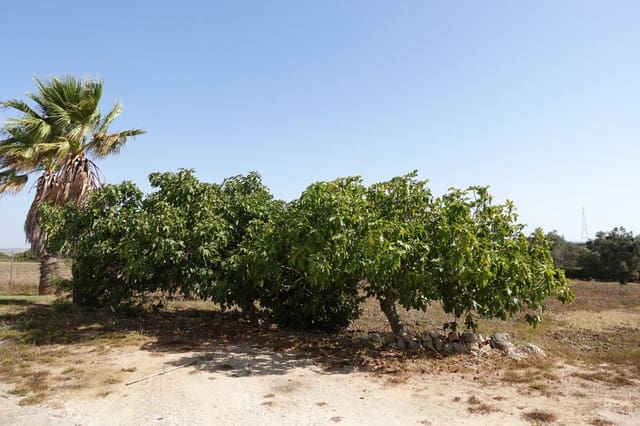 3 soverom Finca/Herregård til salgs i Chiclana de la Frontera med garasje - € 213 500 (Ref: 10045846)