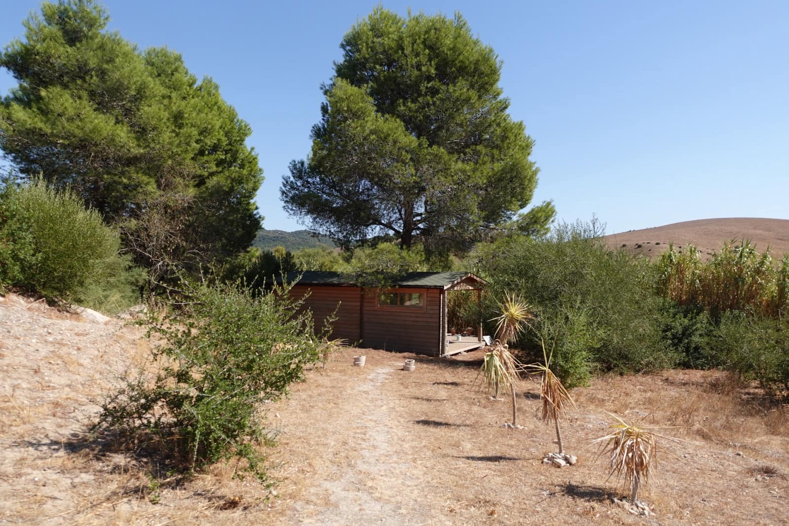 4 sovrum Finca/Hus på landet till salu i Medina-Sidonia med pool garage - 385 000 € (Ref: 10163509)