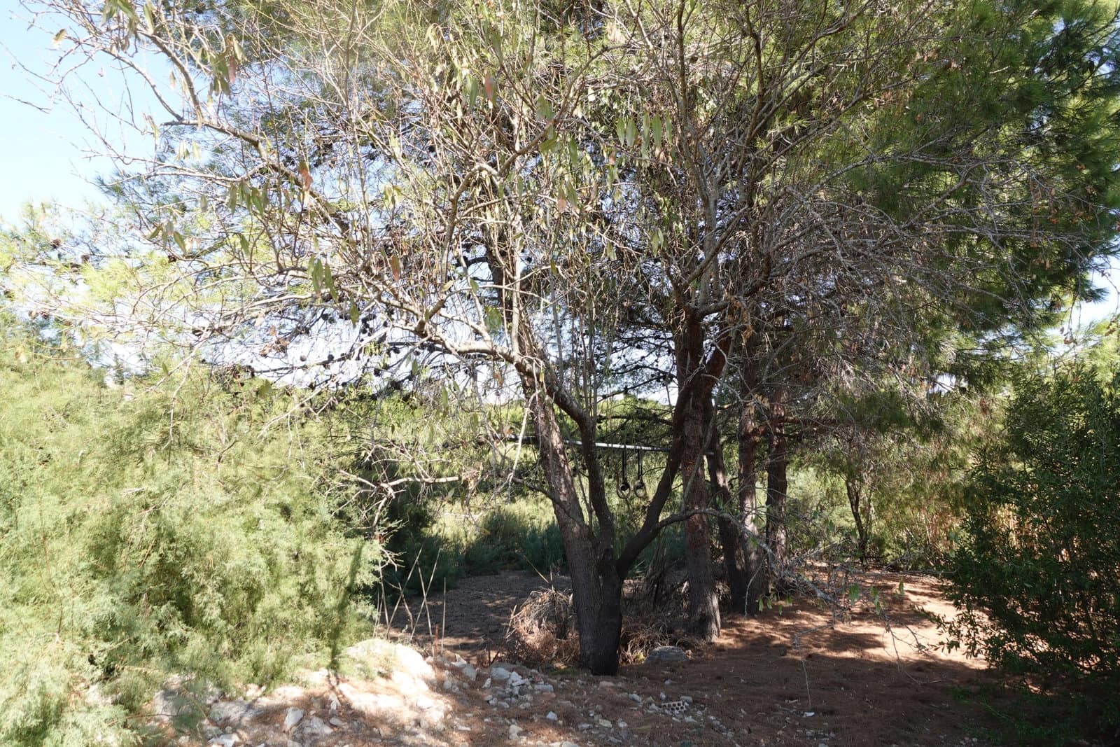 4 sovrum Finca/Hus på landet till salu i Medina-Sidonia med pool garage - 385 000 € (Ref: 10163509)