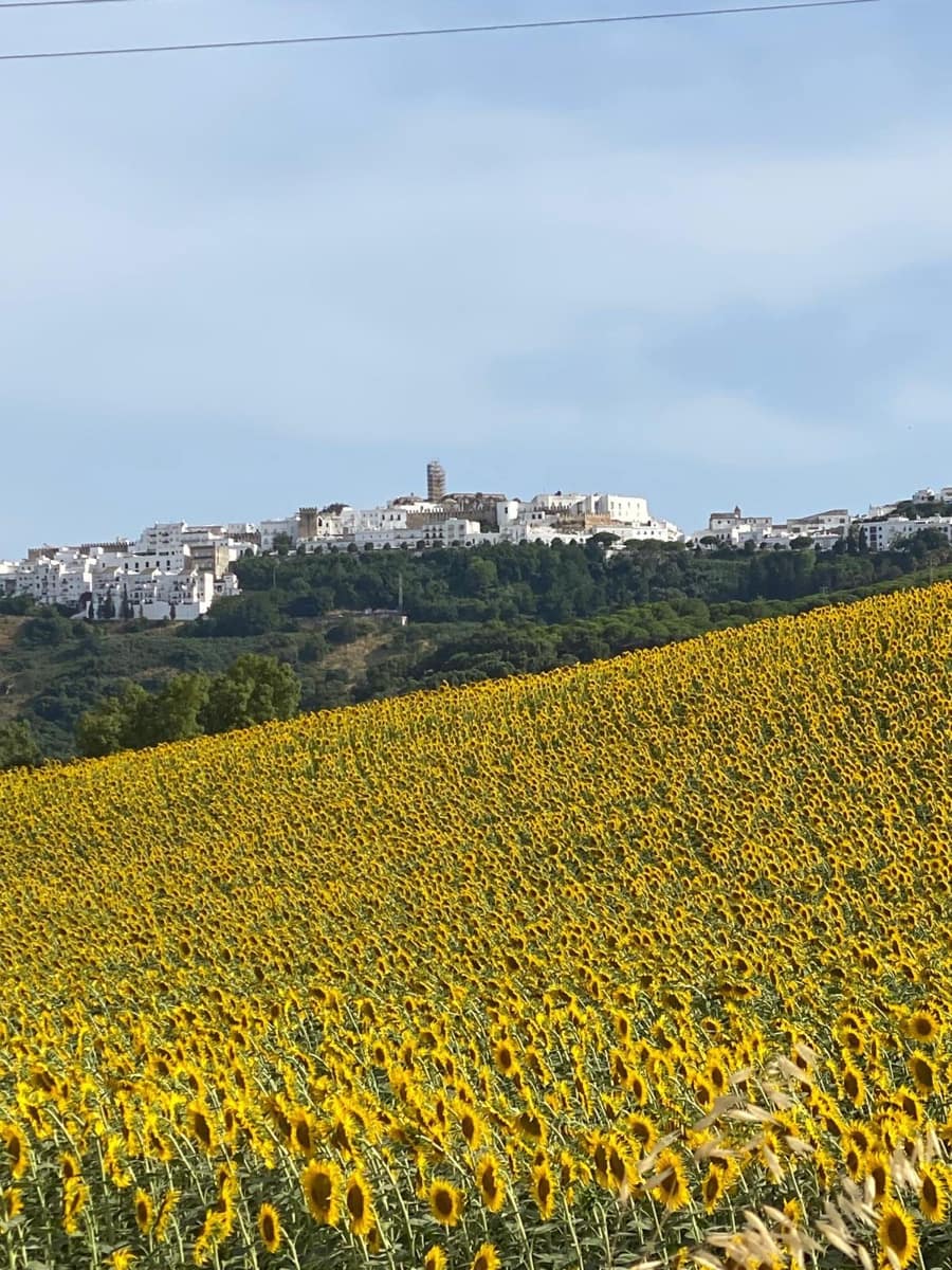 3 sypialnia Finka/Dom wiejski na sprzedaż w Vejer de la Frontera z garażem - 385 000 € (Ref: 10163810)