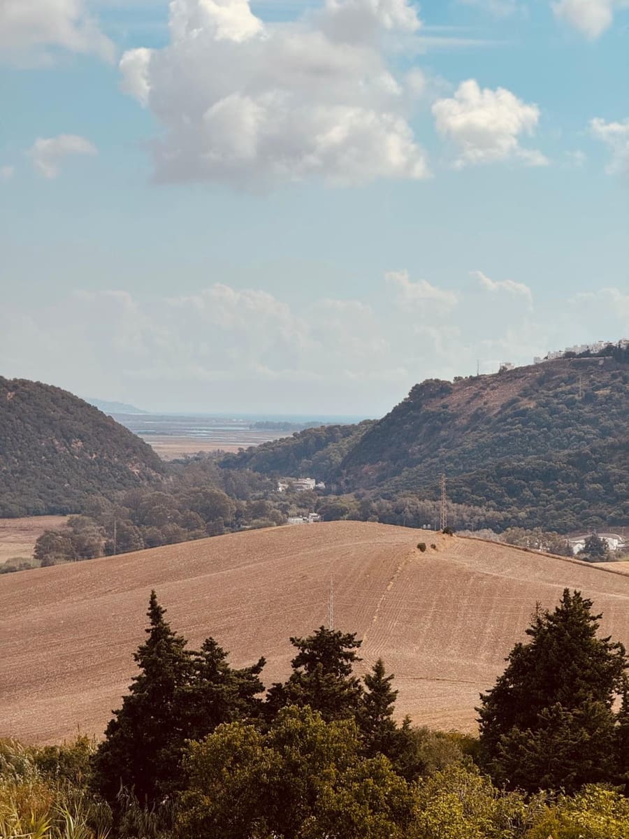 3 sypialnia Finka/Dom wiejski na sprzedaż w Vejer de la Frontera z garażem - 385 000 € (Ref: 10163810)