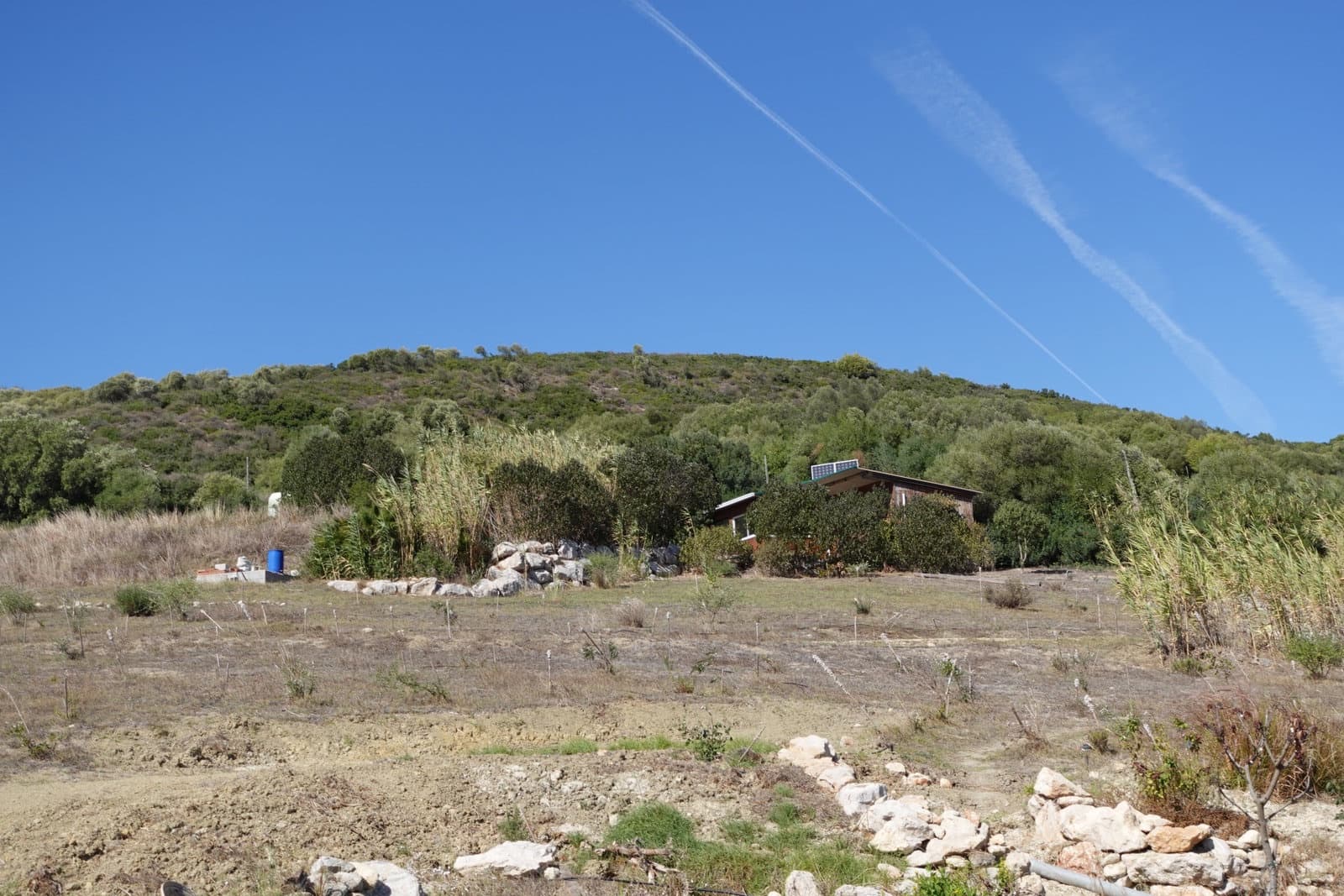 3 sypialnia Finka/Dom wiejski na sprzedaż w Vejer de la Frontera z garażem - 385 000 € (Ref: 10163810)