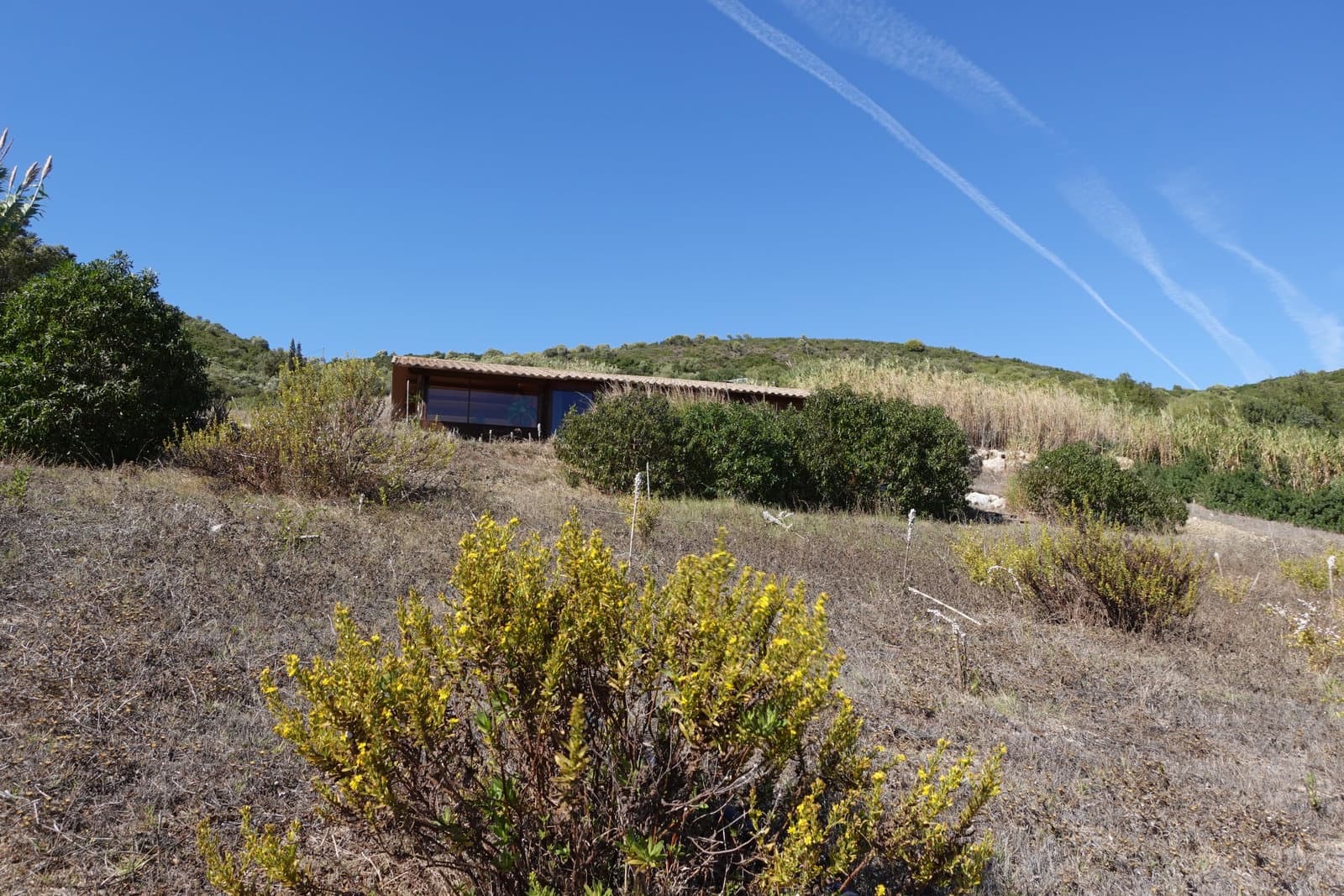 3 sypialnia Finka/Dom wiejski na sprzedaż w Vejer de la Frontera z garażem - 385 000 € (Ref: 10163810)