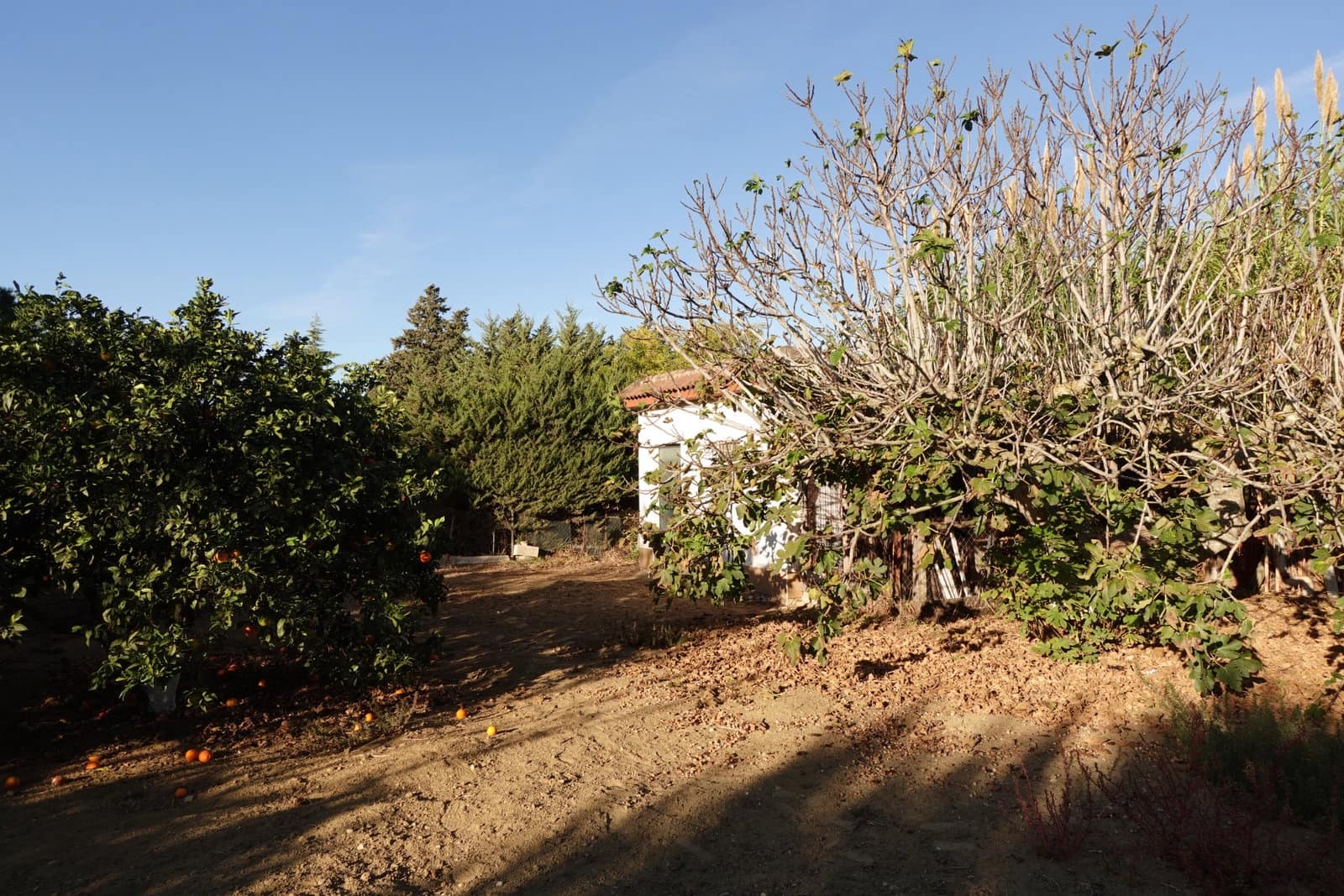 1 soveværelse Finca/Landehus til salg i Chiclana de la Frontera med swimmingpool - € 100.000 (Ref: 10175728)