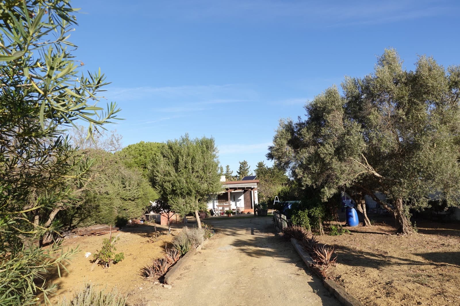 1 soveværelse Finca/Landehus til salg i Chiclana de la Frontera med swimmingpool - € 100.000 (Ref: 10175728)