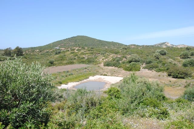 2 chambre Finca/Maison de Campagne à vendre à Medina-Sidonia avec garage - 480 000 € (Ref: 6083840)
