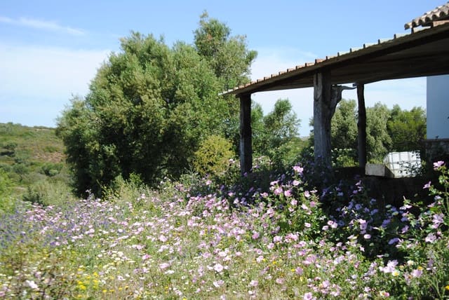 2 chambre Finca/Maison de Campagne à vendre à Medina-Sidonia avec garage - 480 000 € (Ref: 6083840)