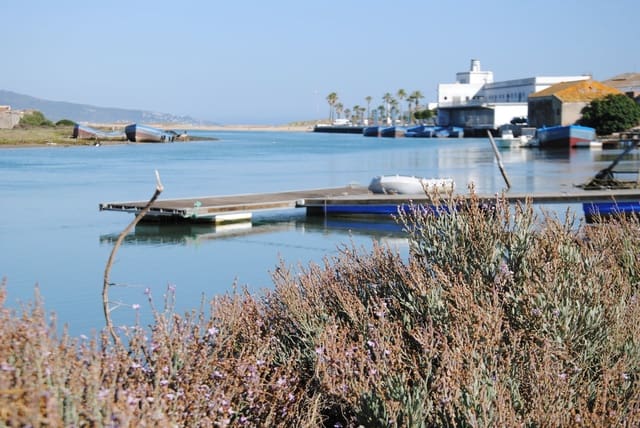 2 quarto Casa em Banda para venda em Barbate - 295 000 € (Ref: 6229016)