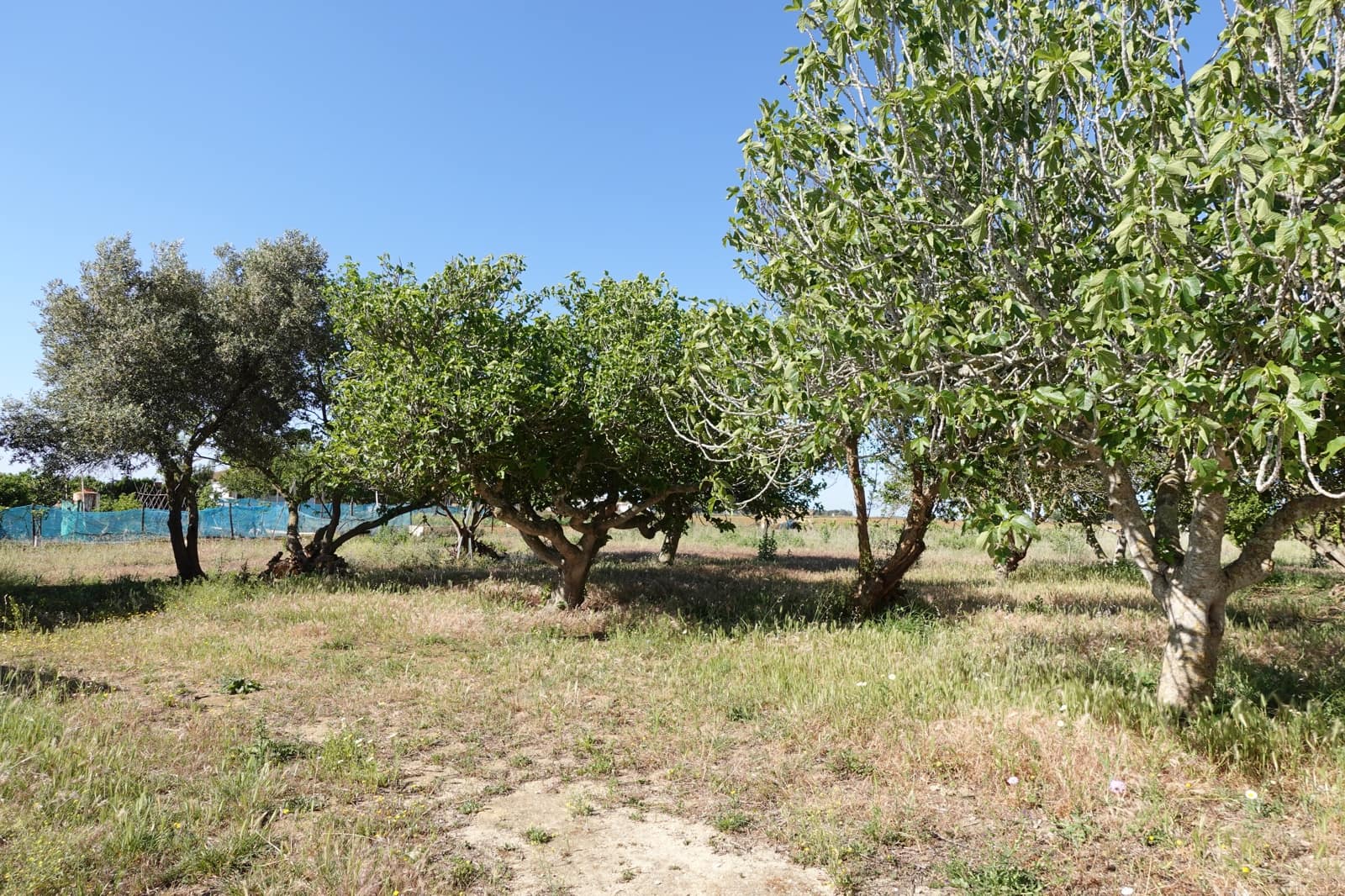 1 soveværelse Finca/Landehus til salg i Chiclana de la Frontera med garage - € 185.000 (Ref: 7526994)