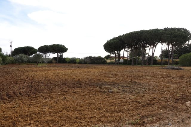 3 soveværelse Finca/Landehus til salg i Chiclana de la Frontera med garage - € 220.000 (Ref: 7621032)