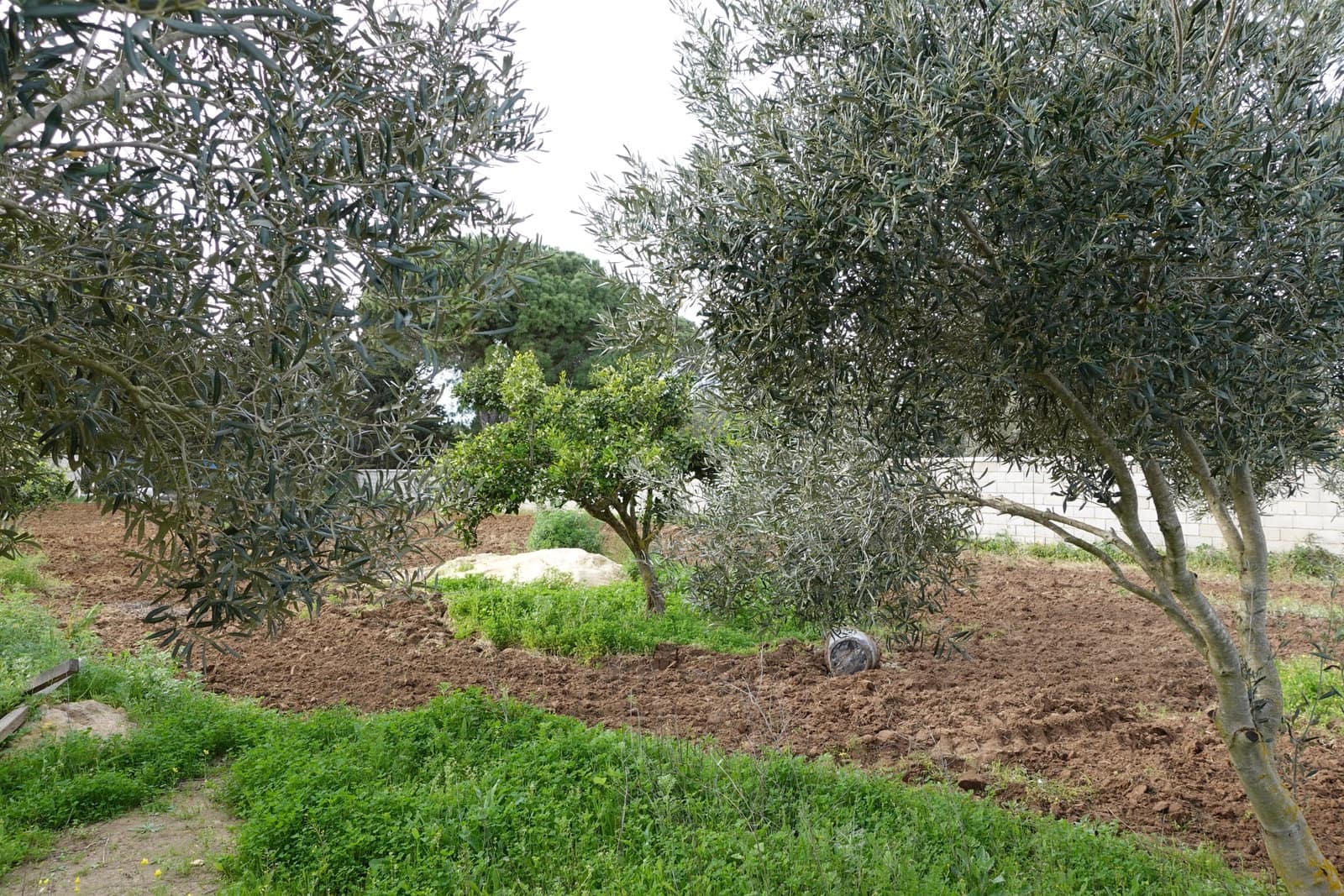 3 bedroom Finca/Country House for sale in Chiclana de la Frontera with garage - € 220,000 (Ref: 7621032)