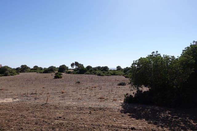 5 bedroom Finca/Country House for sale in Benalup with pool garage - € 525,000 (Ref: 7712040)