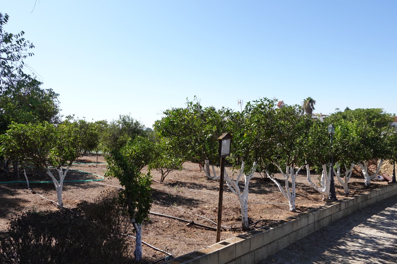 5 chambre Finca/Maison de Campagne à vendre à Benalup avec piscine garage - 525 000 € (Ref: 7712040)