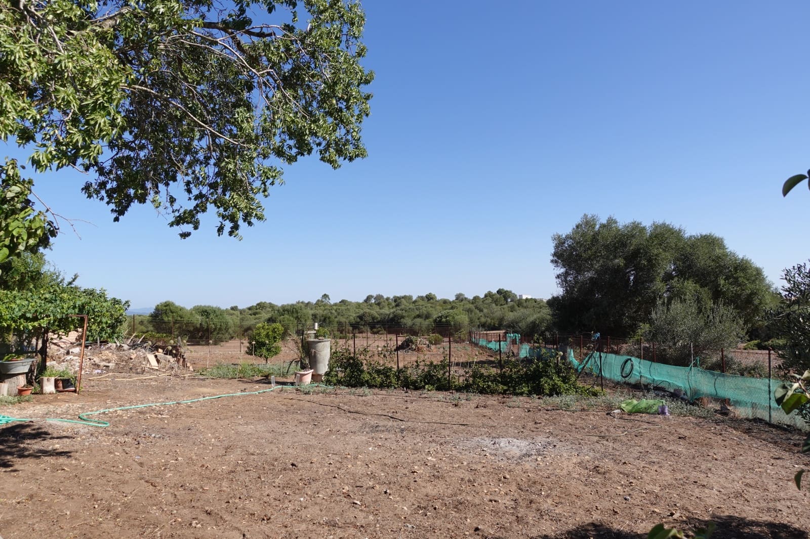 5 chambre Finca/Maison de Campagne à vendre à Benalup avec piscine garage - 525 000 € (Ref: 7712040)