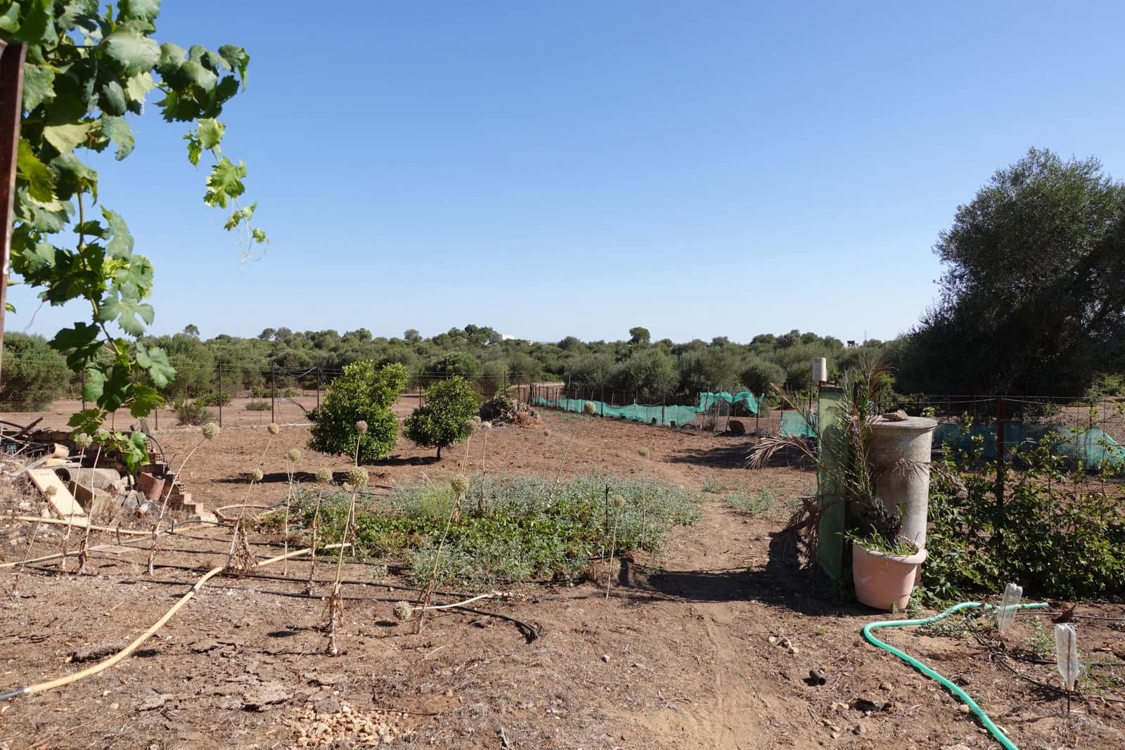 5 bedroom Finca/Country House for sale in Benalup with pool garage - € 525,000 (Ref: 7712040)
