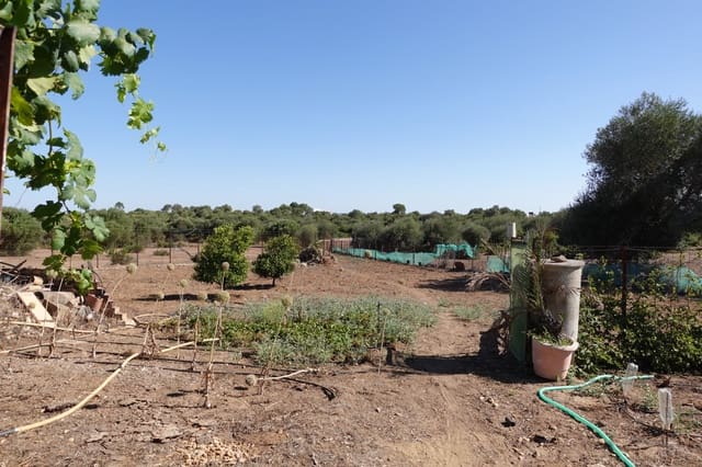 5 quarto Quinta/Casa Rural para venda em Benalup com piscina garagem - 525 000 € (Ref: 7712040)