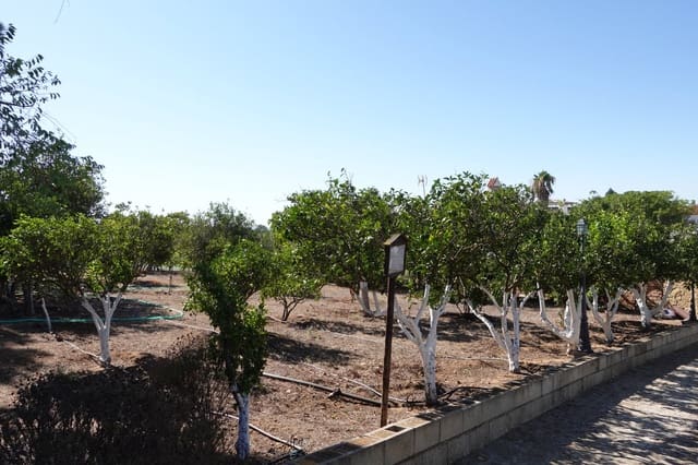 5 quarto Quinta/Casa Rural para venda em Benalup com piscina garagem - 525 000 € (Ref: 7712040)