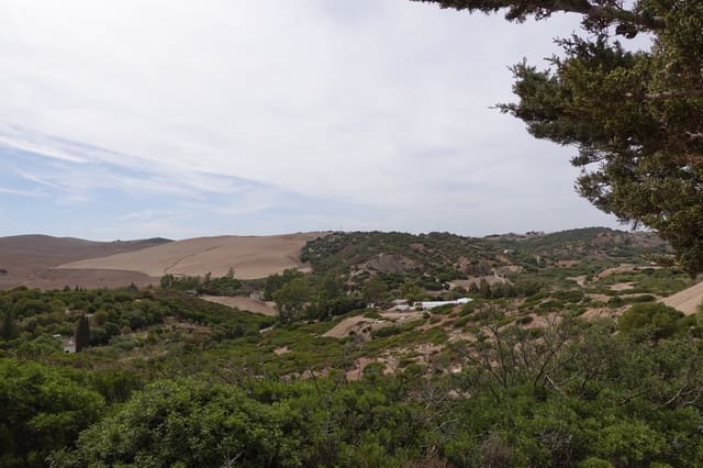 Finca/Maison de Campagne à vendre à Medina-Sidonia avec garage - 49 000 € (Ref: 8583296)