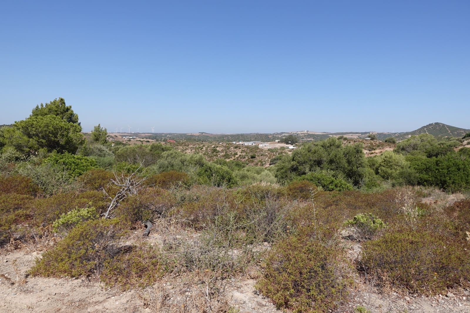 Finka/Dom wiejski na sprzedaż w Medina-Sidonia z garażem - 49 000 € (Ref: 8583296)