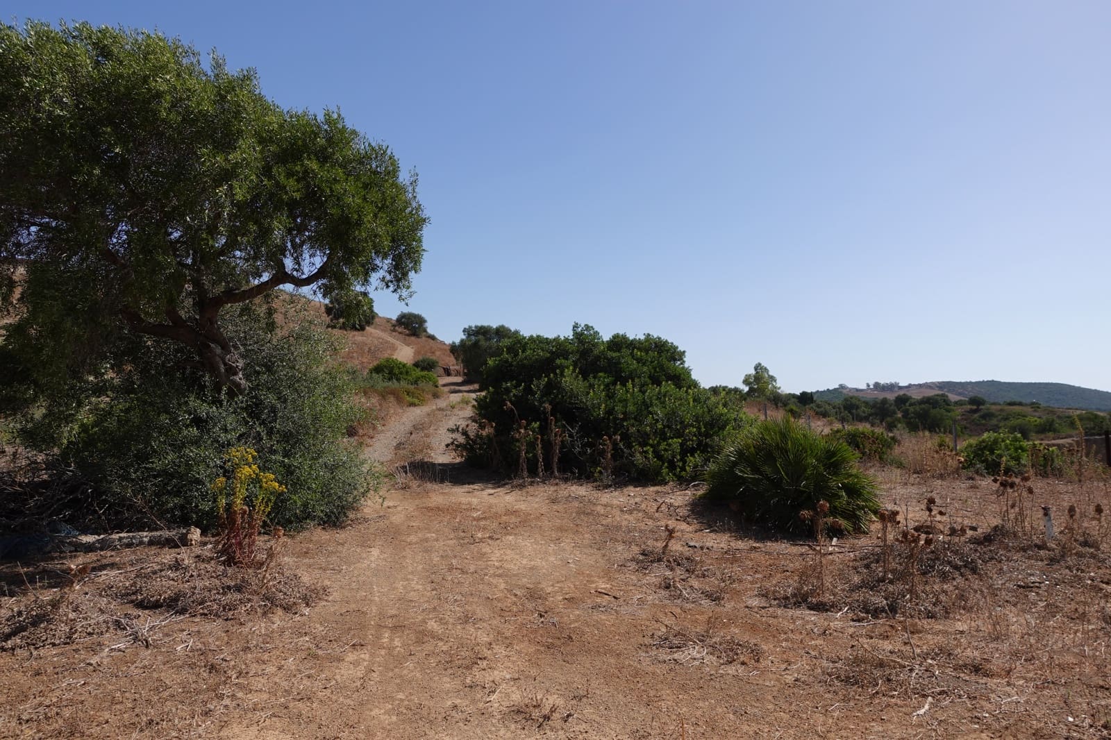 Finka/Dom wiejski na sprzedaż w Medina-Sidonia z garażem - 49 000 € (Ref: 8583296)