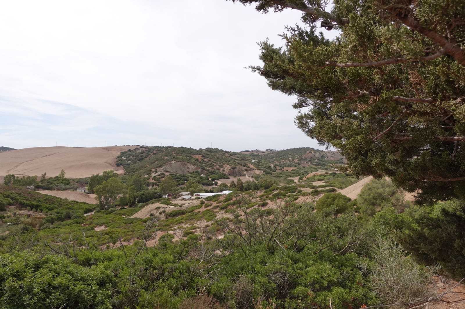 Finka/Dom wiejski na sprzedaż w Medina-Sidonia z garażem - 49 000 € (Ref: 8583296)