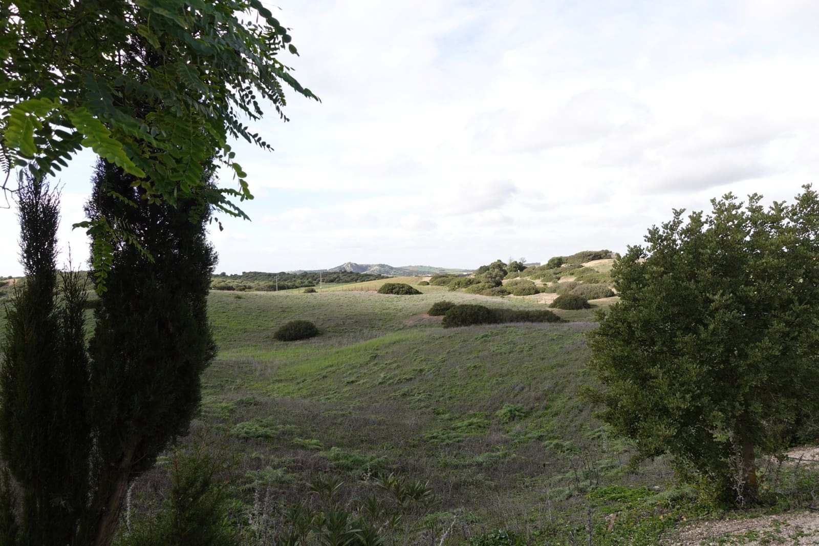 1 soveværelse Finca/Landehus til salg i Medina-Sidonia med garage - € 150.000 (Ref: 8754161)