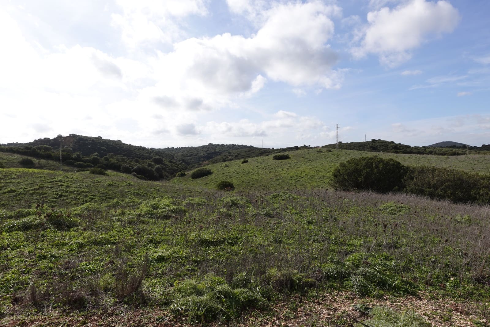 1 soveværelse Finca/Landehus til salg i Medina-Sidonia med garage - € 150.000 (Ref: 8754161)