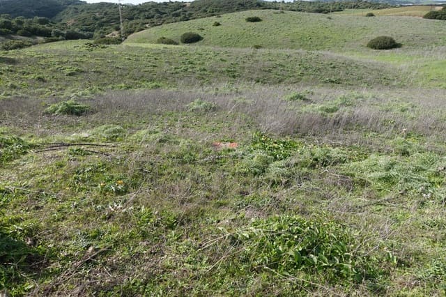 1 chambre Finca/Maison de Campagne à vendre à Medina-Sidonia avec garage - 150 000 € (Ref: 8754161)