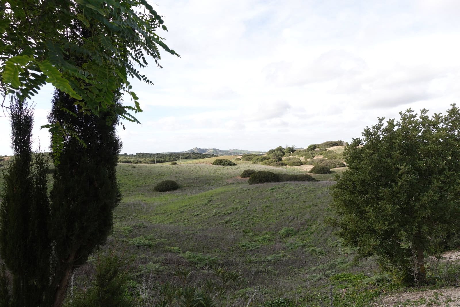 Finca/Casa Rural de 1 habitación en Medina-Sidonia en venta con garaje - 150.000 € (Ref: 8754161)