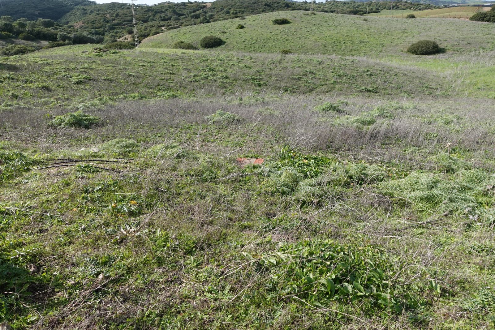 Finca/Casa Rural de 1 habitación en Medina-Sidonia en venta con garaje - 150.000 € (Ref: 8754161)