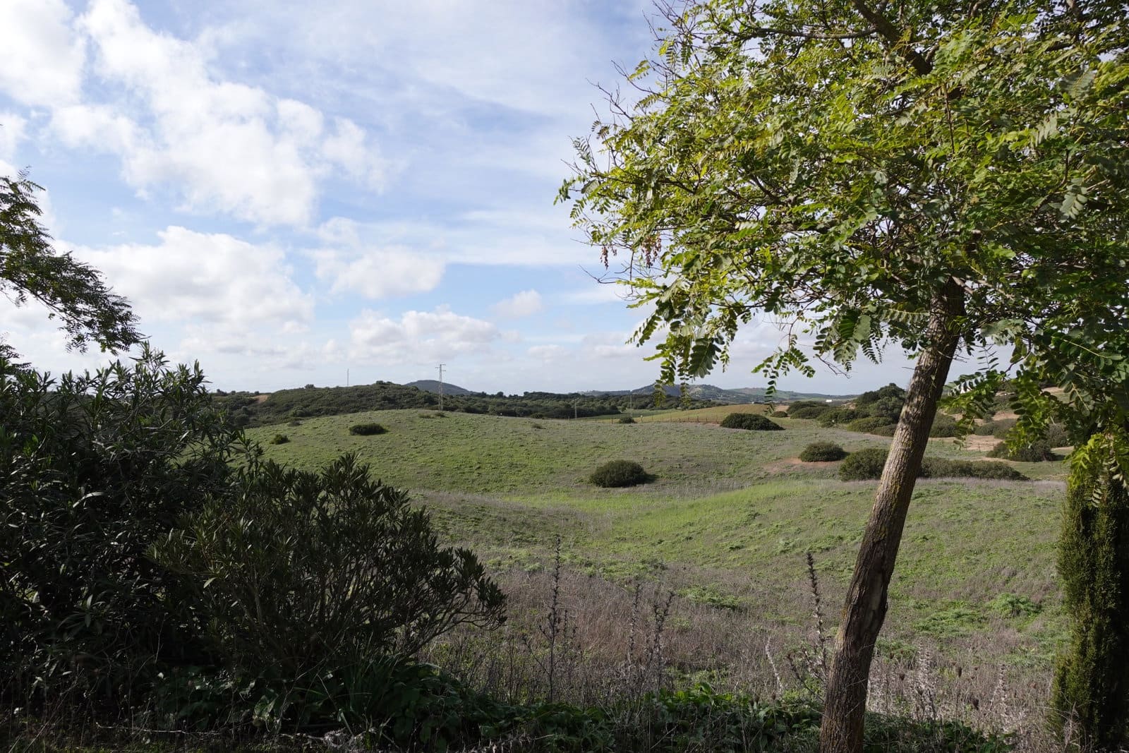 Finca/Casa Rural de 1 habitación en Medina-Sidonia en venta con garaje - 150.000 € (Ref: 8754161)