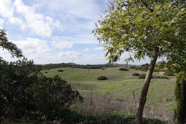 1 quarto Quinta/Casa Rural para venda em Medina-Sidonia com garagem - 150 000 € (Ref: 8754161)