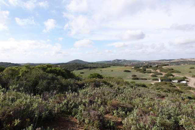 1 quarto Quinta/Casa Rural para venda em Medina-Sidonia com garagem - 150 000 € (Ref: 8754161)