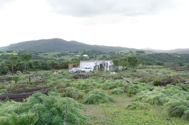 1 chambre Finca/Maison de Campagne à vendre à Medina-Sidonia avec garage - 170 000 € (Ref: 8973342)