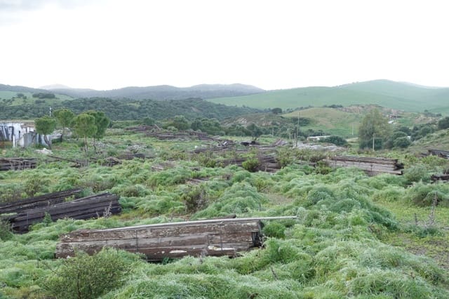1 chambre Finca/Maison de Campagne à vendre à Medina-Sidonia avec garage - 170 000 € (Ref: 8973342)