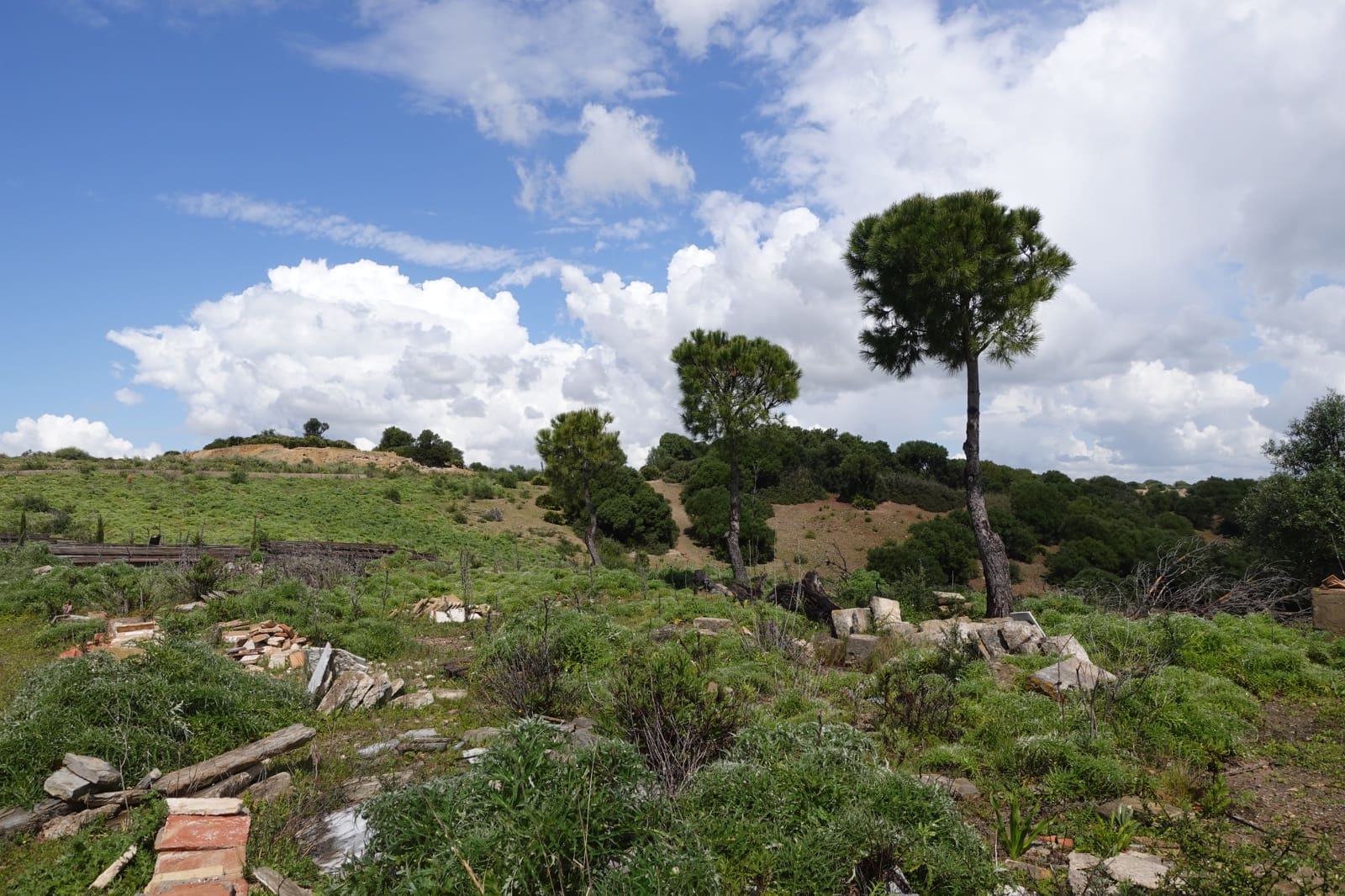 1 camera da letto Finca/Casa di Campagna in vendita in Medina-Sidonia con garage - 170.000 € (Rif: 8973342)