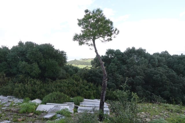 1 chambre Finca/Maison de Campagne à vendre à Medina-Sidonia avec garage - 170 000 € (Ref: 8973342)